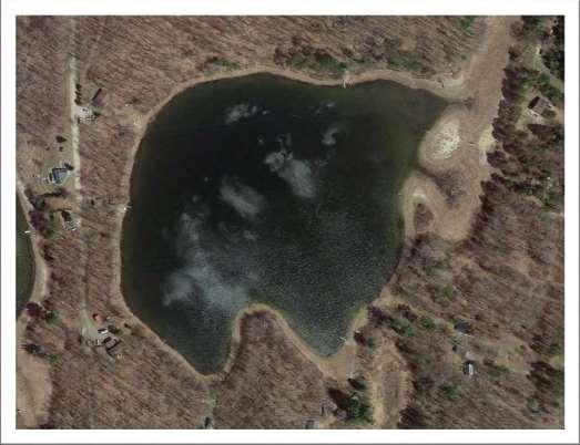 Frog Lake (WBIC 585700) Frog Lake is a small, 28 acre seepage lake (WDNR 2016B).