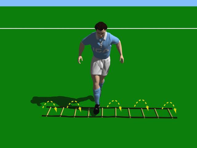 Soccer Speed, Agility and Quickness Circuit Lateral Ladder All drills will be done in a lateral fashion. 1. Side shuffle- Begin by standing sideways to the ladder.