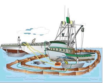 Tactic W-WM-5 Small Vessel Decontamination Oil floating on the water inside the boom is removed by means of a small skimming system or sorbent material (boom, pads, etc.).