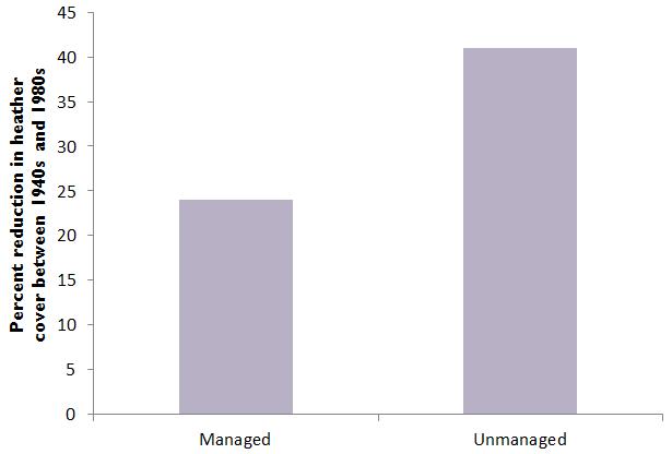 Key graphs Figure 1: In a study 23 in Scotland over 40 years, grouse moors lost 24% of their heather cover whereas where grouse management was lost heather cover had reduced by 41%.