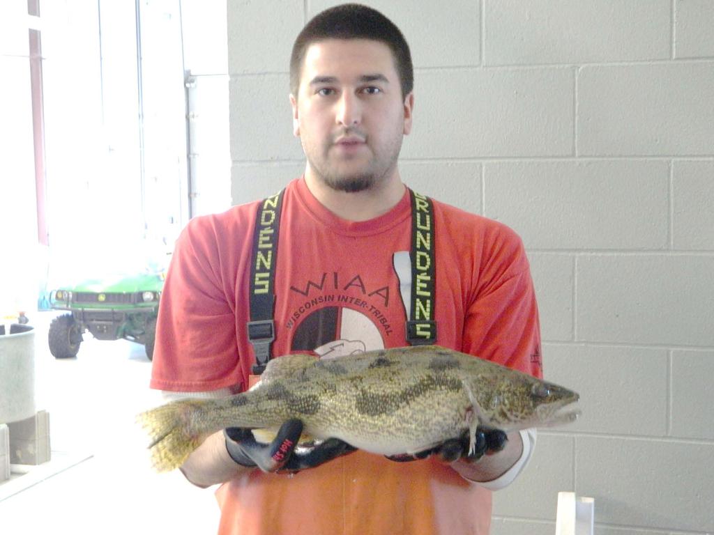 Why Hybrid Walleye(Saugeye)??? Hybrid walleye have many characteristics suitable for aquaculture production: Ability to rear and spawn broodstock intensively and out of season.