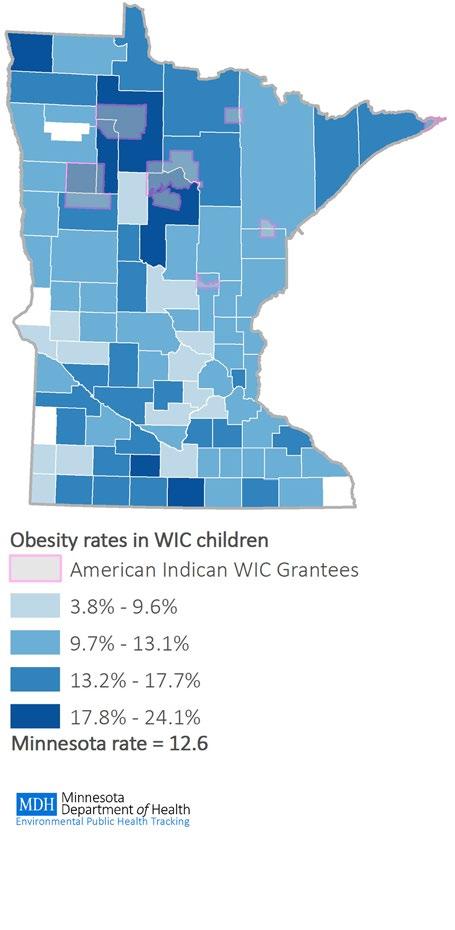 FIG. 40. MINNESOTA ADULT OBESITY RATES (TOP LEFT) Among Minnesota adults, obesity rates vary from 23-36%, with little geographic pattern.