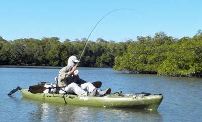 Kayaks provide another way to explore the mangroves of the backcountry. While limiting in terms of the distance one can travel, kayaks permit access to areas boats cannot reach.