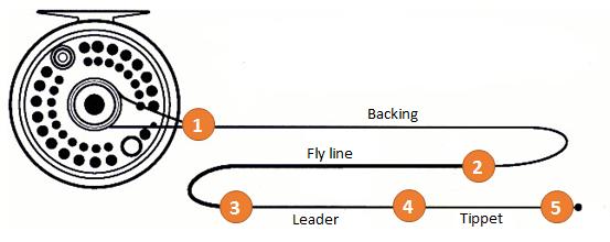 pound leader material to which the fly is tied. A good choice for a manufactured tapered leader is a 7-1/2 to 9-foot leader tapered to 20-pounds.