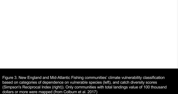 Fishing communities with a low diversity of catch are also more economical vulnerable to change (Sethi et al. 2014; Cline et al.