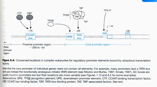 Chromosomes & Genes Gene regulaton Transcrptonal regulaton s prmarly medated by protens that bnd cs-actng elements or DNA sequence sgnals assocated wth genes: DNA level (sequence-specfc) regulatory