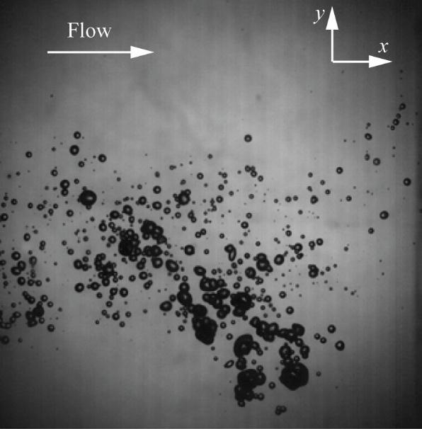Figure 3. Schematic of the experimental setup for shadow imaging of bubbly flows. Figure 4. A sample bubbly wake image obtained in shadow imaging experiments. 2.