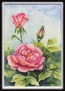 Artisans of Tidewater Marilyn Drange Join the Artisans on Monday, February 19 at the Amenity Center from 10 AM till Noon and learn how to paint realistic watercolor roses.