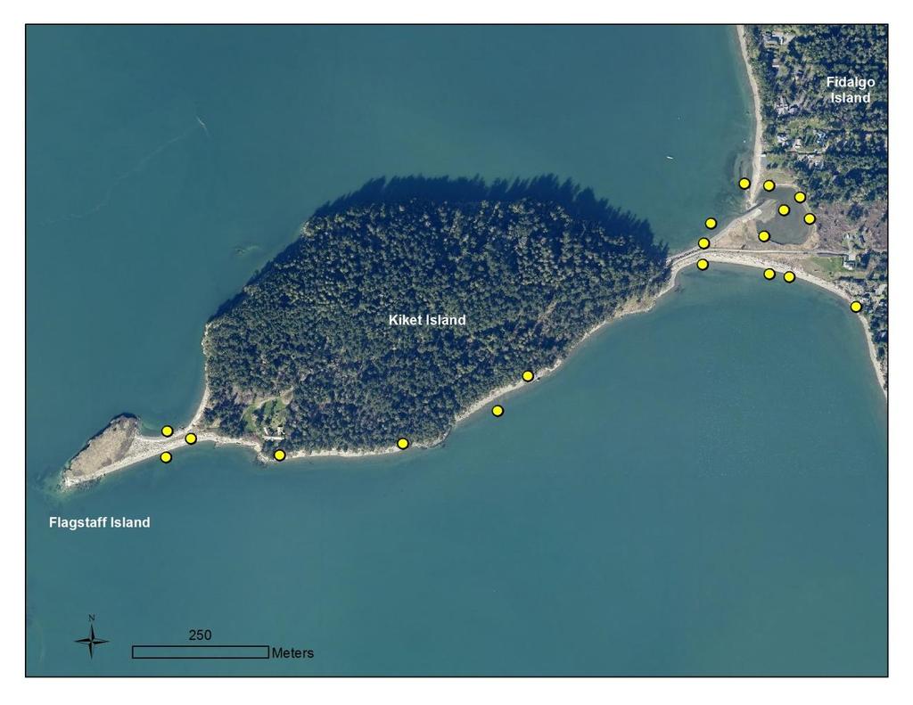 Figure 15. Location of all beach seine sites with fish catch data within Kukutali Preserve.