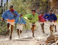 Kenijski tekači, denimo, ne poznajo športnih zdravnikov in maserjev in ne trenirajo na tekaških progah iz umetnih mas.