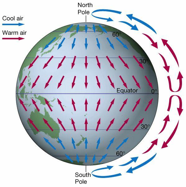 Ideal Circulation for a non-rotating Warm air would rise at the equator Cold air