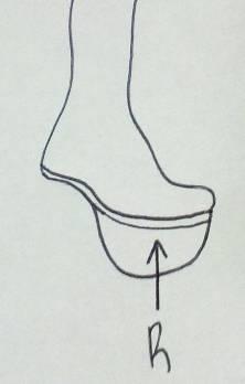 concept being highly innovative, heelless shoes have some flaws as listed below: The shoe wearer must
