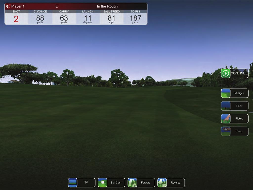 Terrain Penalty: Select Enabled or Disabled note: When the Terrain Penalty is enabled, the software will reduce the spin on the ball when hitting out of the rough, deep grass or undergrowth.
