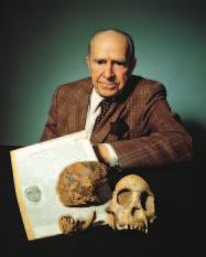 8, you see a South African anatomist, Raymond Dart, who, in 1924, discovered a skull of a young hominoid with a braincase and facial structure similar to those of an ape.