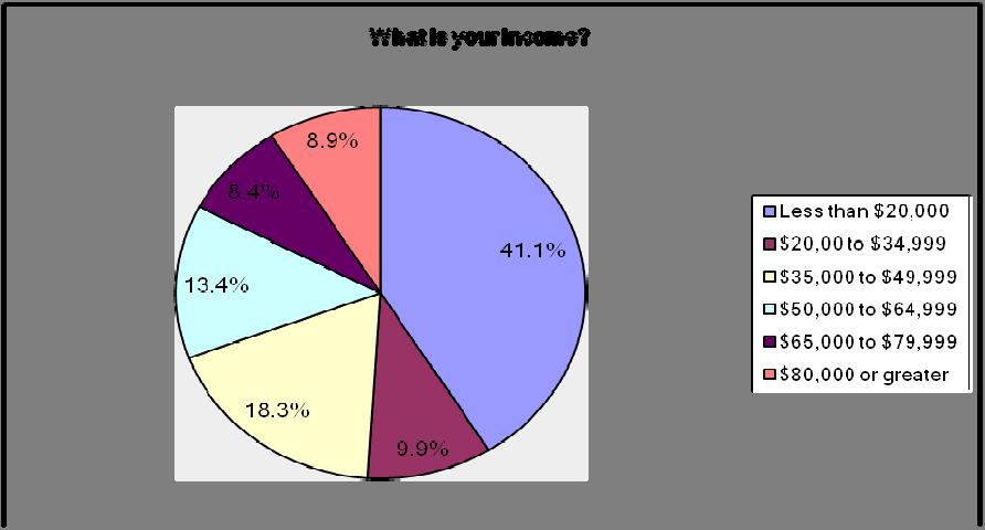 Figure 1-10 Patron Income Question 11 asked attendees to identify their racial or ethnic background. The majority of patrons described themselves as African American (78.0%).