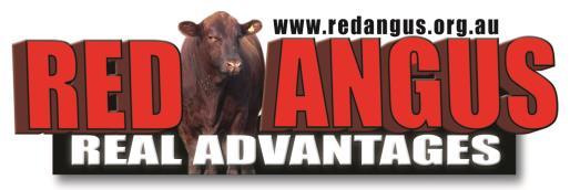 Bull 30 mths & over CHAMPION SENIOR MALE RED ANGUS RESERVE CHAMPION SENIOR MALE RED ANGUS Class 4037 Cow with Calf at foot Class 4038 BREEDERS GROUP- 3 head, both sexes, Class 4039 PROGENY OF 1 SIRE-