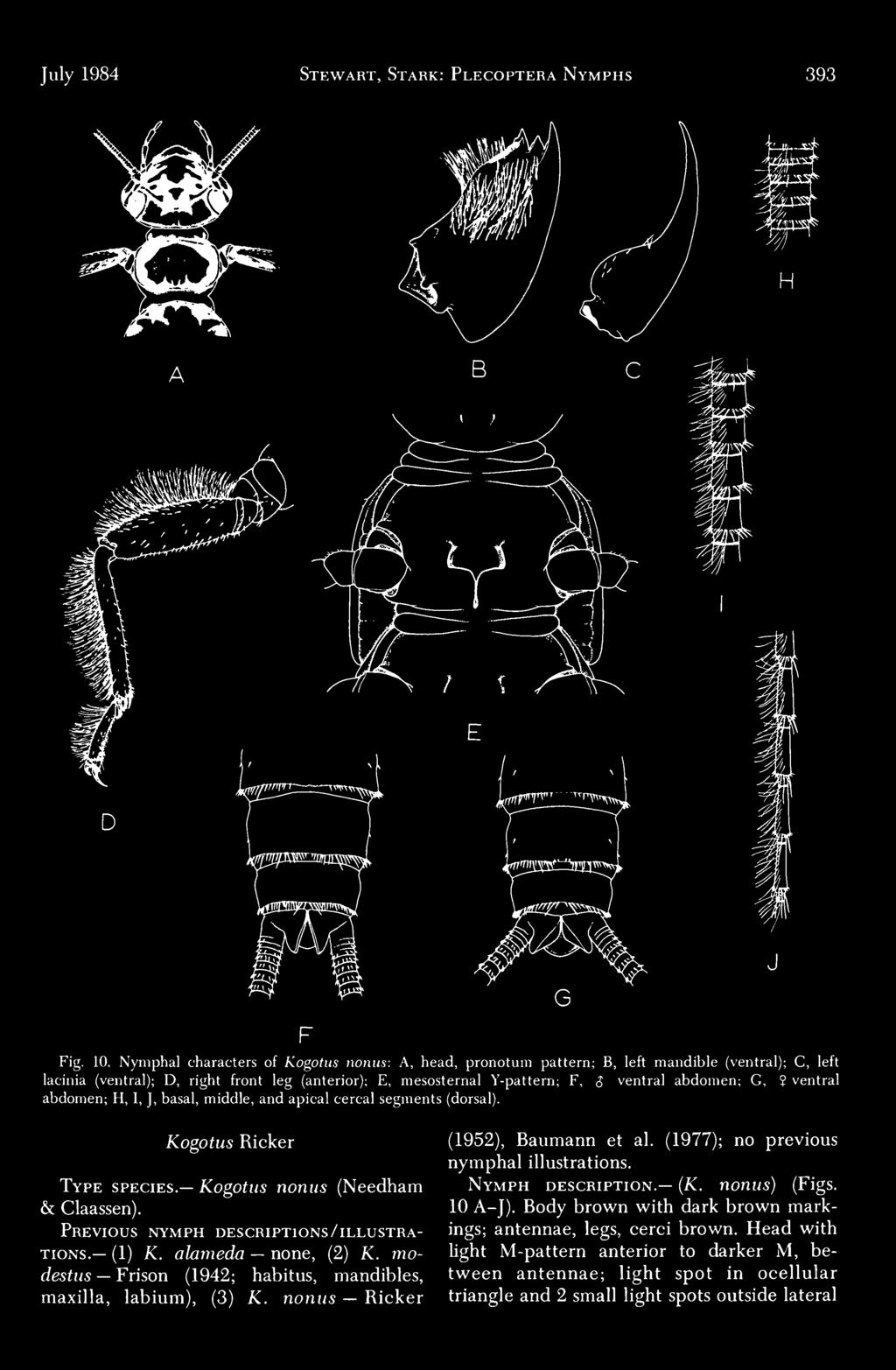 G,? ventral abdomen; H, I, J, basal, middle, and apical cereal segments (dorsal). Kogotus Ricker Type species. Kogotus nonus (Needham & Claassen). Previous ntymph descriptions/illustrations. (1) K.