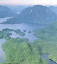 Fjords and Forests That Humble The Pacific ocean s eastern edge breaks against BC s western islands and sandy beaches.