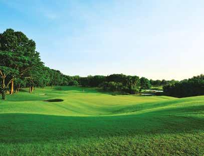 62 Club Information GOLF FAST FACTS Garden Course: 18-hole Buggy/Caddie/Walking Course - Golf Course Designer: Thomson, Wolveridge, Fream & Associates (1984) - Redesigned by: Max Wexler (1992) in
