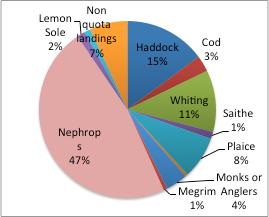 Table 2: Average discard rates in the North Sea mixed whitefish trawl (TR1) fleet 2010 2012 Average discard rate Species 2010 2011 2012 COD 19% 11% 17% DAB 18% 60% 89% HADDOCK 14% 15% 5% HAKE 25% 3%