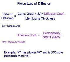 Fick s law of diffusion rate of diffusion of a substance across a membrane is proportional its concentration gradient and inversely proportional to the tissue thickness diffusion of gas across a