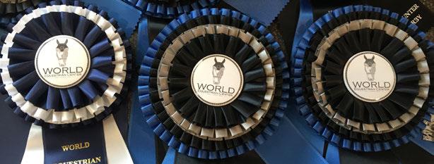 Sponsorship Opportunities At the World Equestrian Center there is a sponsorship opportunity for everyone.