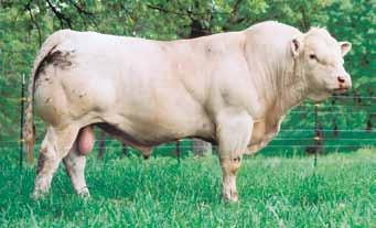 26 RS LADY MAG PRESIDENT 5012 sale2.8.