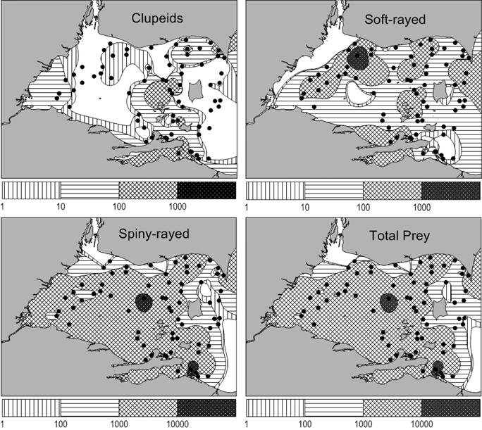 Yellow perch (no./ha) Figure 2.4.4. Spatial distribution of clupeids, soft-rayed, spiny-rayed, and total forage abundance (individuals per hectare) in western Lake Erie, 2016.