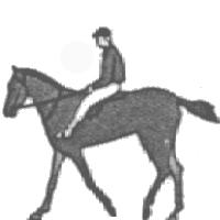 The sequence of foot falls would be as follows: Near Hind Near Fore Off Hind Off Fore Trot Trot The trot is