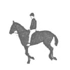 Canter Canter The canter is described as being three-time, this is because each stride taken by the horse or pony has three beats.