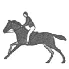 the stride with their off leg leading the sequence of foot falls would be as follows: Off Hind Near Hind and Off Fore Near Fore Gallop Gallop The gallop is described as being fourtime, this is