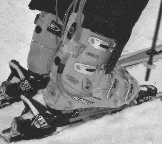 232 Optimal stance ski-boot through integrated design environment surface of the sole is assumed fully constrained in the regions close to the ski fixations.