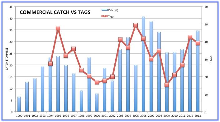 Figure 5 shows the commercial catch compared with the estimated number of tagged fish in the river each year.