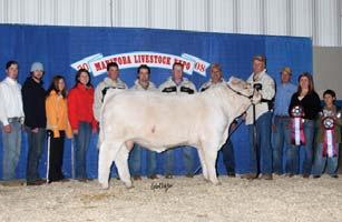 ..An Outstanding Opportunity JDF Superior Genetics of your Choice - package of 5 embryos.