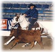 BONNIES STRANGER: SMF Lenas Award out of Bonnie Smoke APHA World Champion Senior Cutting Stallion NRCHA Superior Reined Cowhorse NRCHA Stallion Stakes Champion 1996 Champion Reno Snaffle Bit Futurity