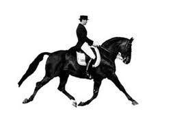 Non-Qualifying Dressage Division 9 a.m.