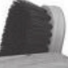 Required: Reasonably clean Unacceptable: Softer than your body brush Body Brush* A body brush has shorter,