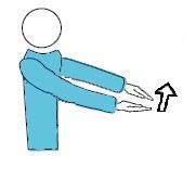 3.2.8 Hold the hands horizontally, palms together and raise the upper palm