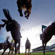 Immerse yourself in the races that have produced icons of jumps racing; Arkle, Hurricane Fly, Sizing John, Florida Pearl, Brave Inca, Istabraq, the Moscow Flyer, Douvan, Sizing Europe