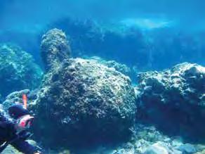 Qualification: Scuba Diver Shallow swim throughs and a vast array of marine life on the islan land
