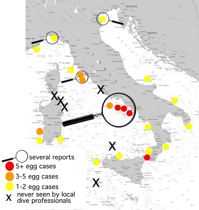Some breeding sites of the nursehound in Italian waters, as reported by divers 179 were reported in 9 out of 15 Italian coastal regions, including several dive sites in the Ligurian Sea (the