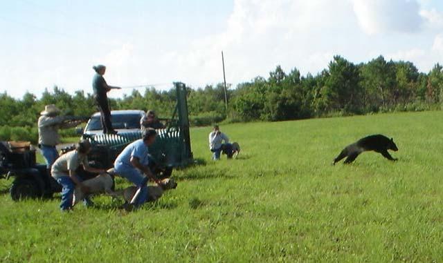 4 TRB. Dens of radio collared female black bear were located in the winter months from 2003-2007.