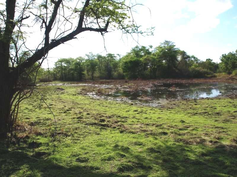 Plate 17: Misakala wetland, an important