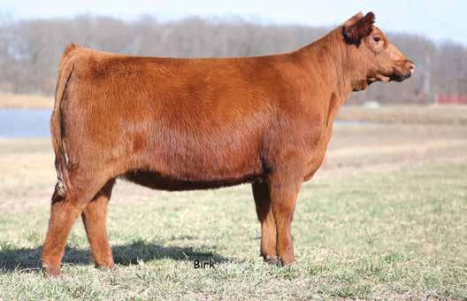 LOT 10 LOT 11 10 3/26/2015 TWF 528C 3486644 TW ANNETTE 528C RED COMPASS MULBERRY 449M RED FINE LINE MULBERRY 26P»» RED DUS FAYETTE 8G JKC HUCKLEBERRY 701 LCHMN WIDE LOAD 1061C LJRA MISS NONE BET