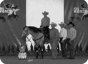 LEOS NIGHT HEAT, #3955618 2000 Dun Owned by: Glen Allen HOLLYWOOD HEAT Super Horse Contender, 2001 World Show Earner & 345 Pts in 5 events NRHA Open Futurity Money Earner; His GET have earned over
