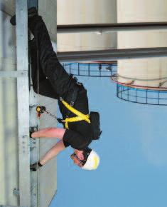Fall Protection Components Harness What do I want? Comfort. You want the perfect fit. To ensure a perfect fit, harnesses are available in different sizes.