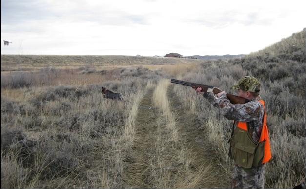Over 50 young hunters participated in the event that was put on by the Northwest Chapter of the Wild Turkey Federation, Bighorn Basin Chapter of Pheasants Forever, and Triple KB Ranch and Bird Farm