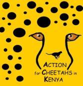 Results from ACK national surveys show that Kenya holds 1200-1400 cheetahs with over 75% residing on land outside protected areas.