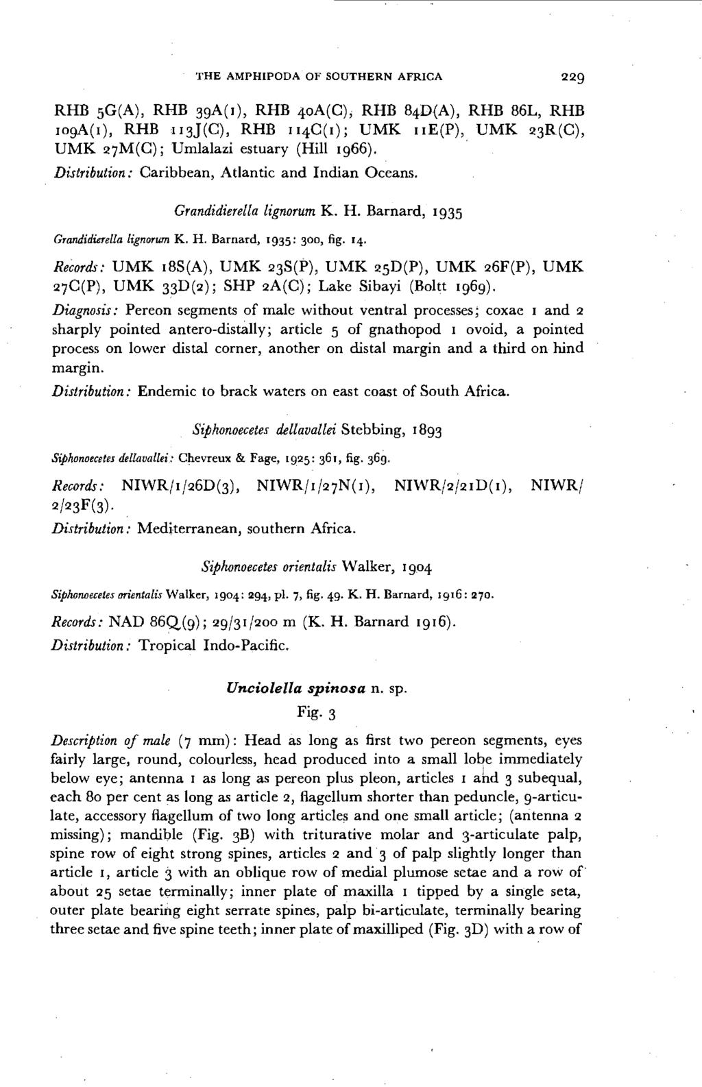 THE AMPHIPODA OF SOUTHERN AFRICA 229 RHB 5G(A), RHB 39A(I), RHB 4oA(C); RHB 84D{A), RHB 86L, RHB IOgA(I), RHB 1I3J(c), RHB 114C(I); UMK IIE(P), UMK 23R(C), UMK 27M(C); Umlalazi estuary (Hill 1966).