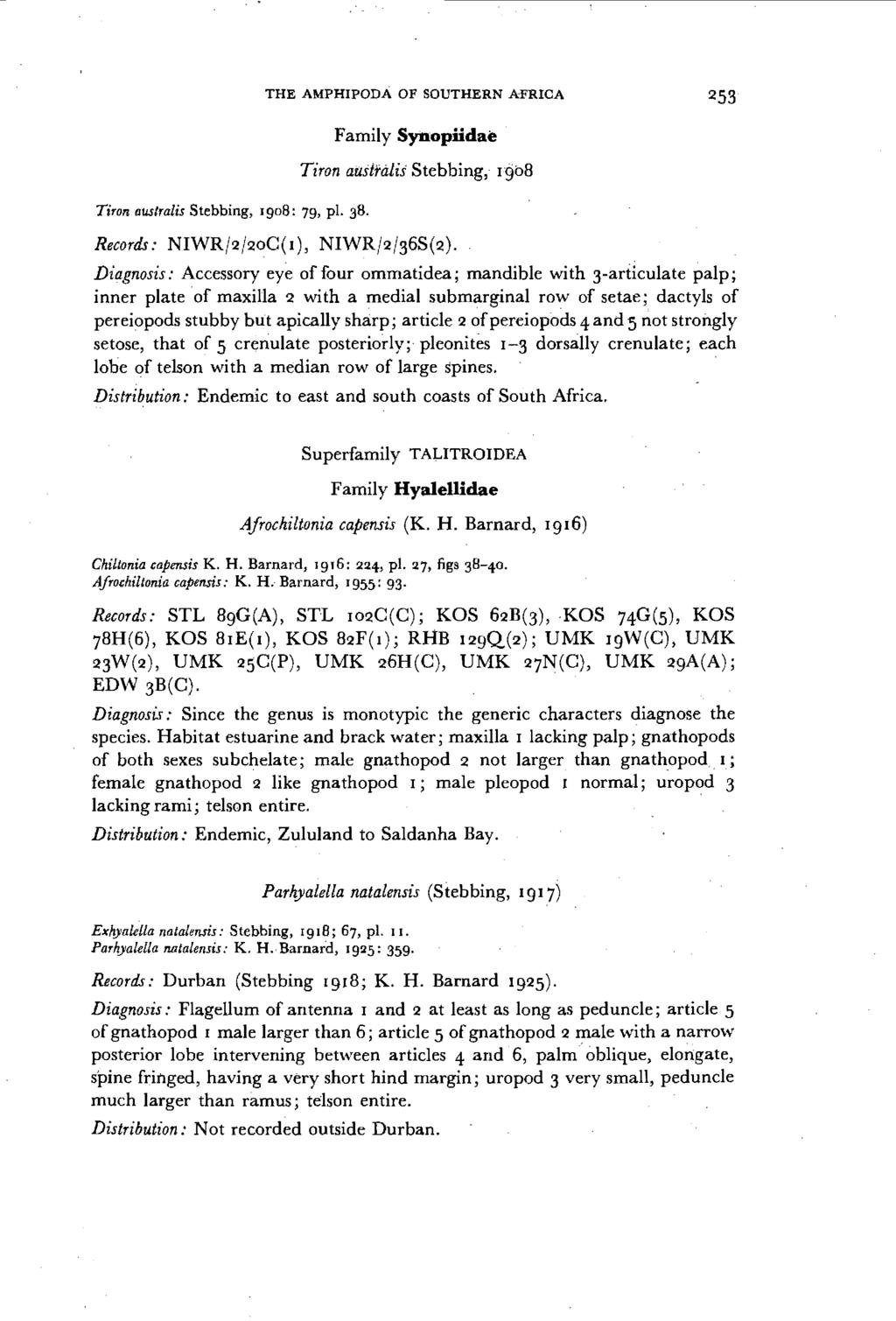 THE AMPHIPODA OF SOUTHERN A"l'RICA 253 Tiron australis Stebbing, 1908: 79, pi. 38. Family Synopiidae Tiron australis Stebbing, 1908 Records: NIWR!2!20C(I), NIWR!2!36S(2).
